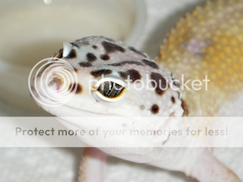 DSCF8108.jpg
