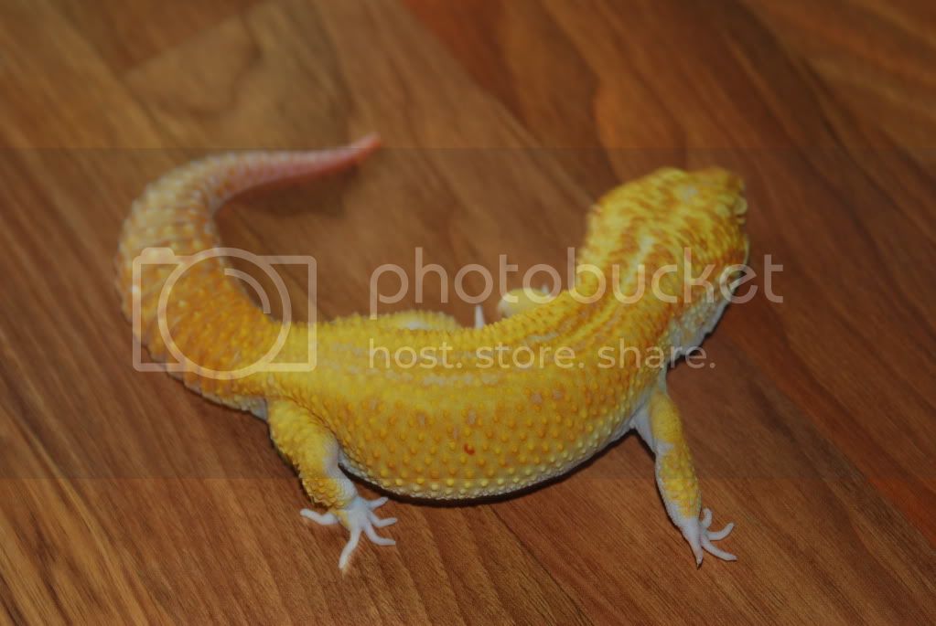 DSC_2798.jpg