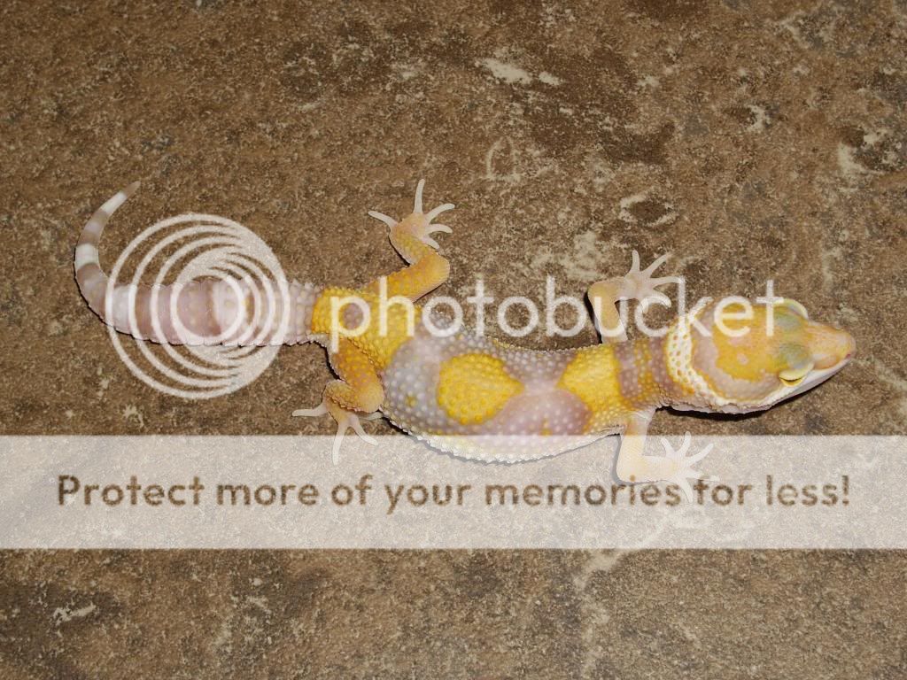 IMGP5870.jpg