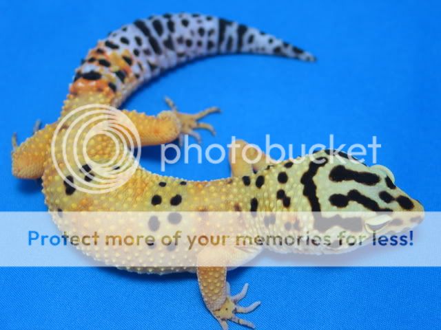 IMG_5134.jpg