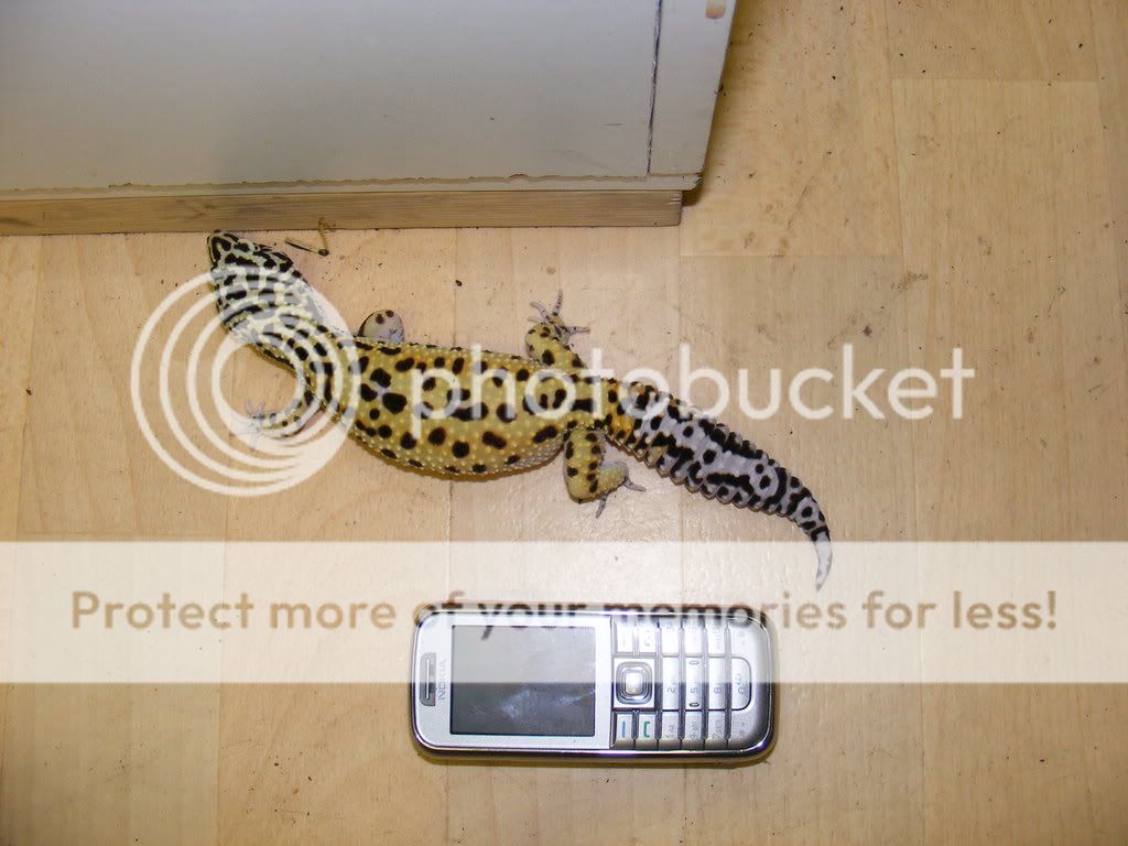 DSCF1055.jpg