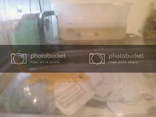 PIC-0017.jpg