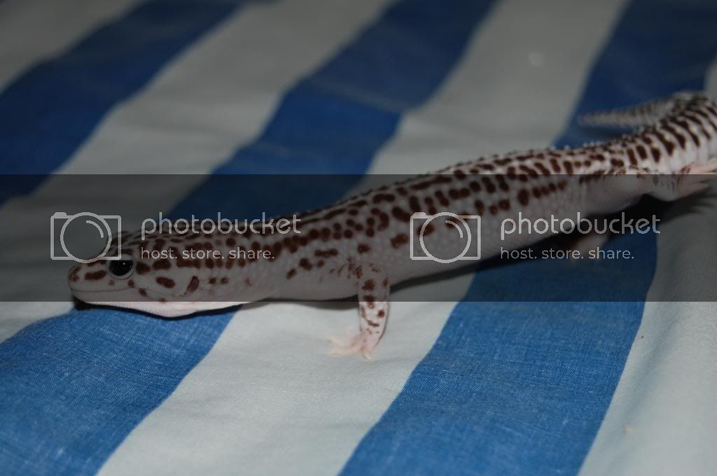DSC_0058.jpg