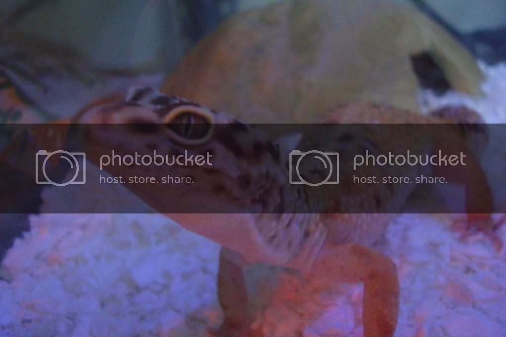 DSC01590.jpg