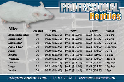 mice.jpg