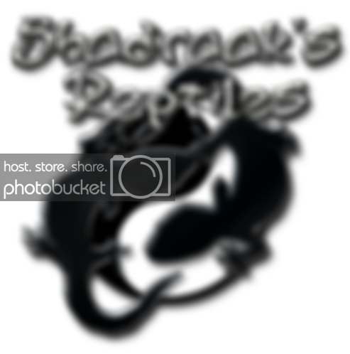 shadraaksreptiles.png