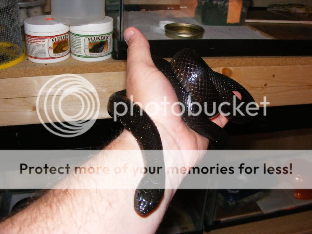 DSCF1777.jpg