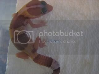 IMG_2202.jpg