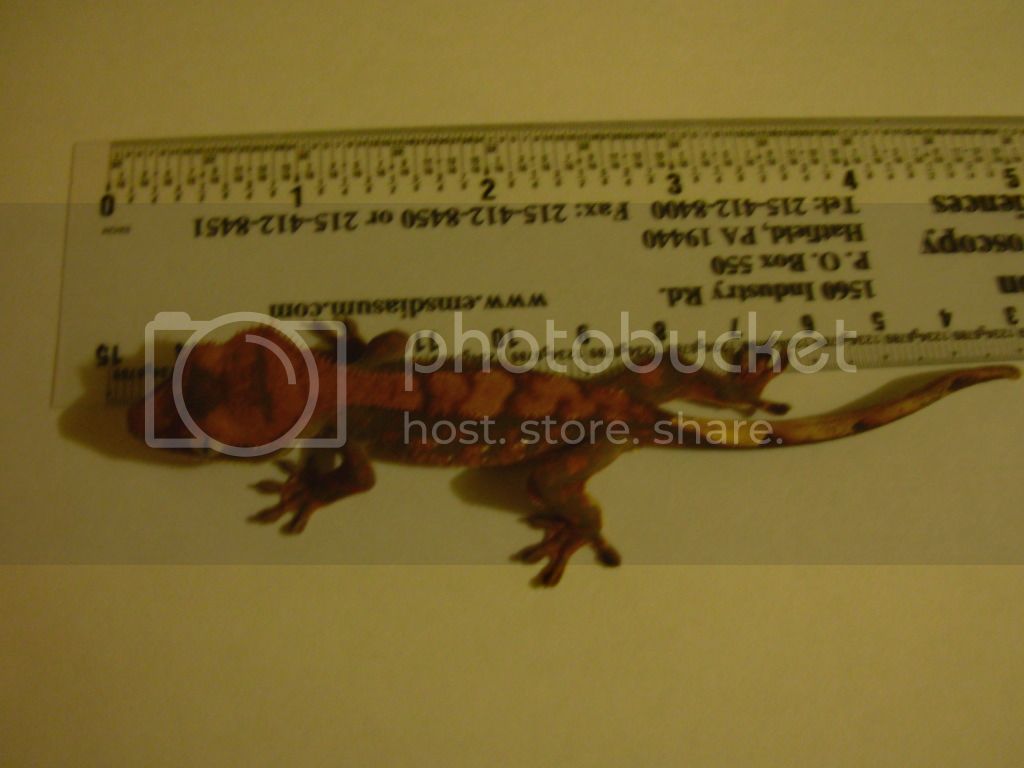 DSCN0287.jpg