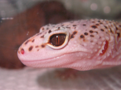 504368881_7mBih-S.jpg