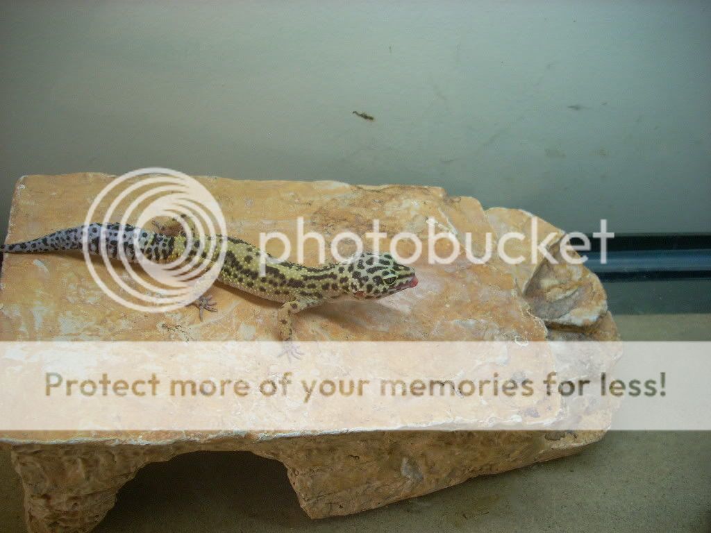 DSCN0027.jpg