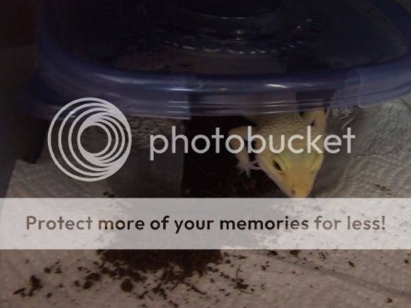 DSCF2810.jpg