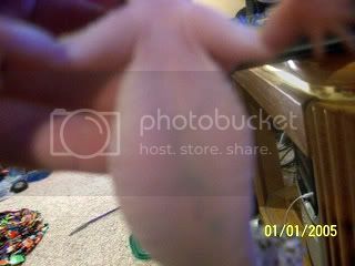 103_2839.jpg