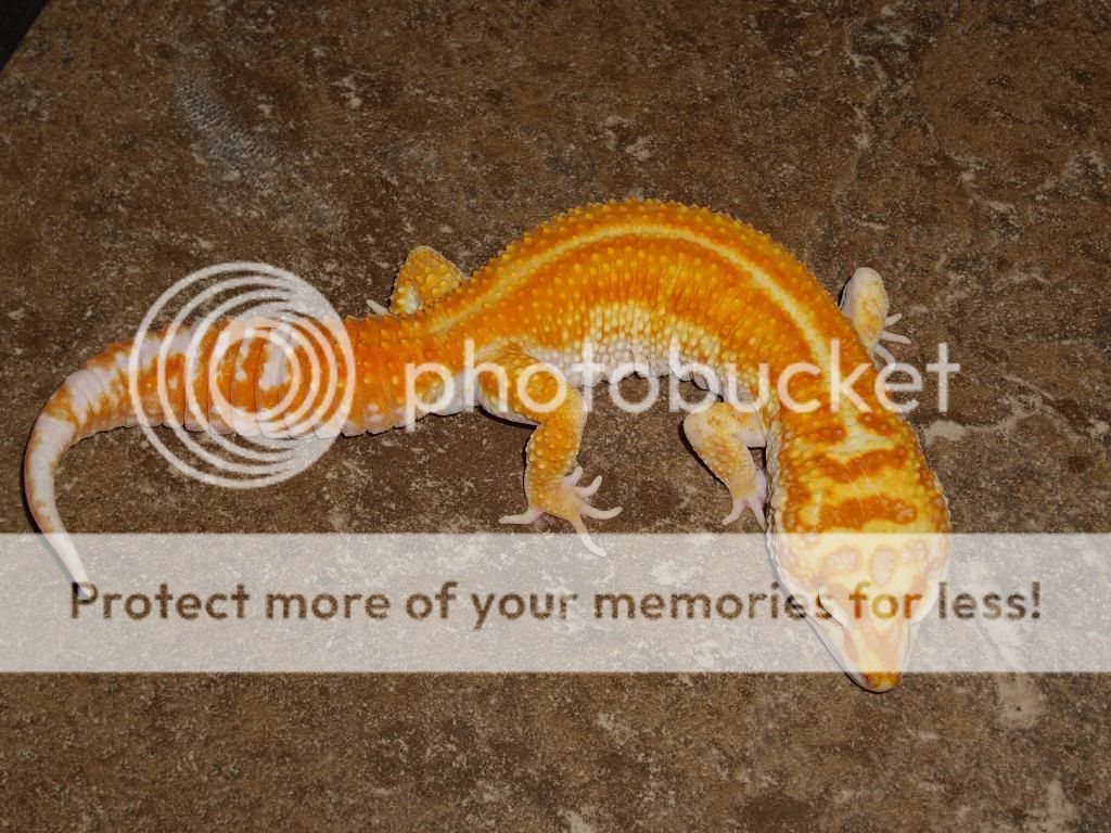 IMGP6645.jpg