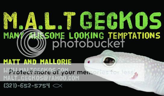 MALT_BusinessCard7d.jpg