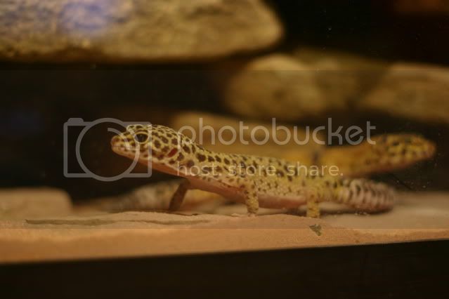 IMG_0051.jpg