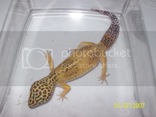 morepics006.jpg