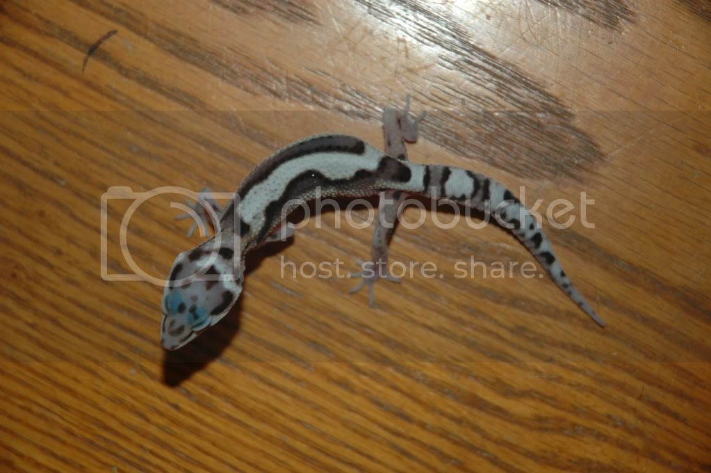 DSC_1414.jpg
