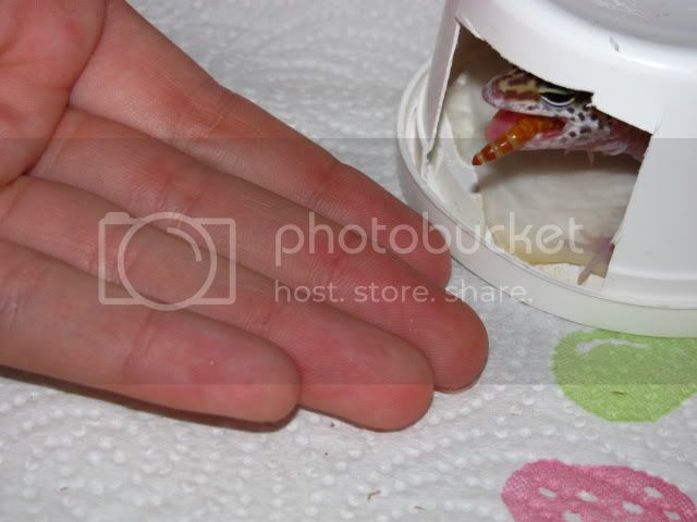 5-10-09088.jpg