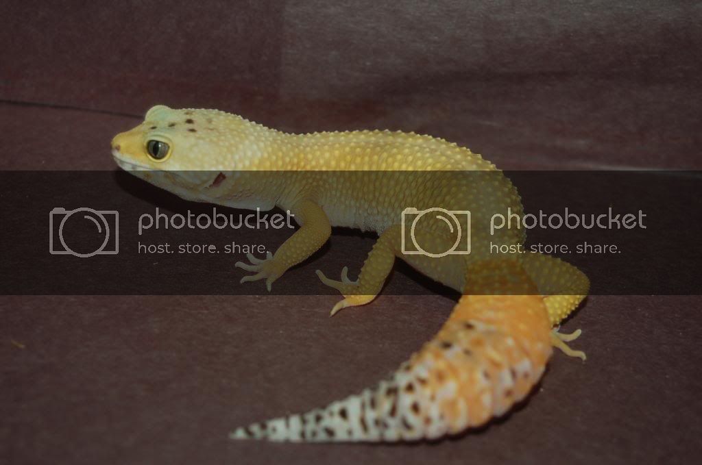 DSC_5156.jpg