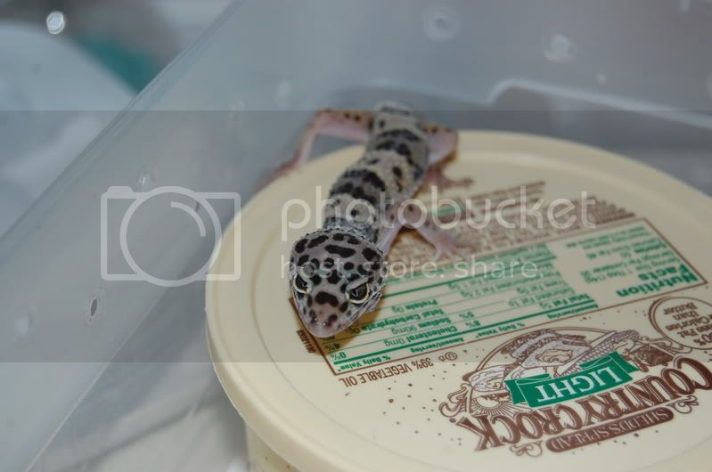 DSC_1041.jpg
