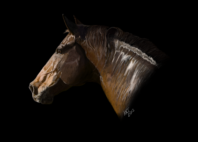 enamorado_finished_by_fuzzybuttbunny-d51s7cp.png