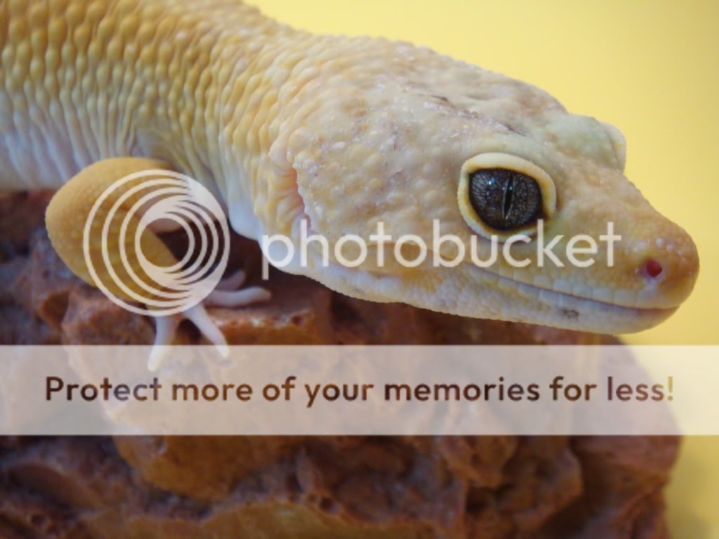 face1.jpg