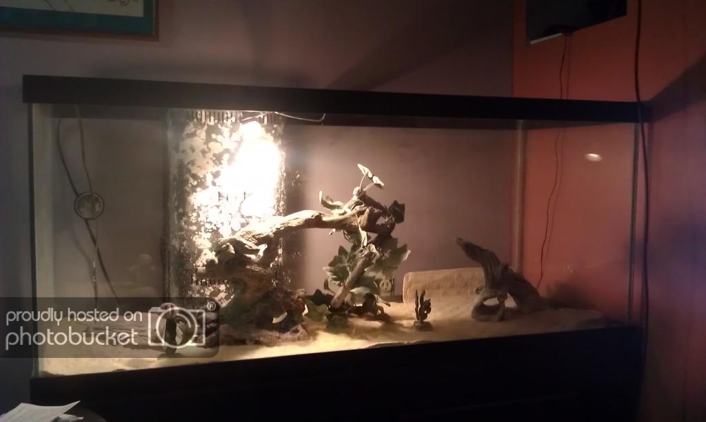 IMAG0083-1_zpsc2f2af49.jpg