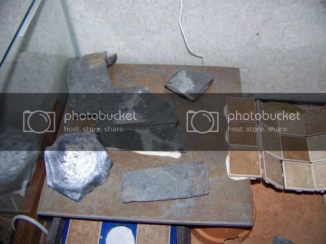 100_2523.jpg