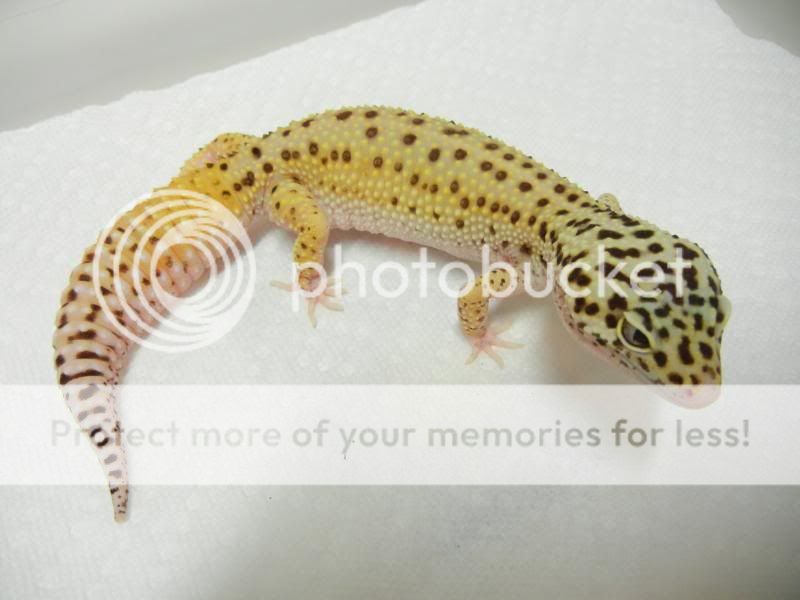 DSCN2516.jpg