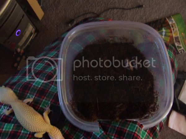 DSCF2856.jpg