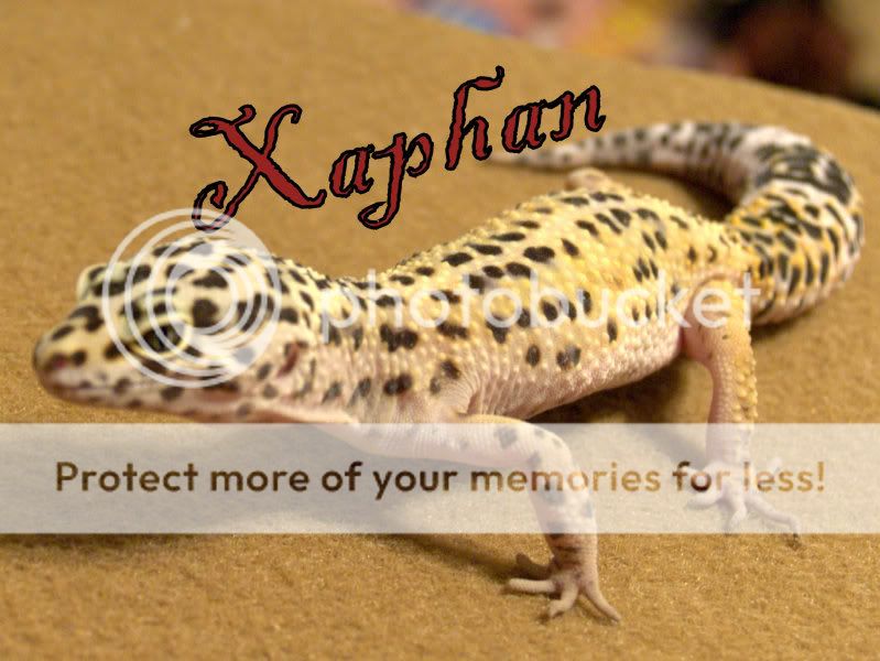 xaphan2.jpg