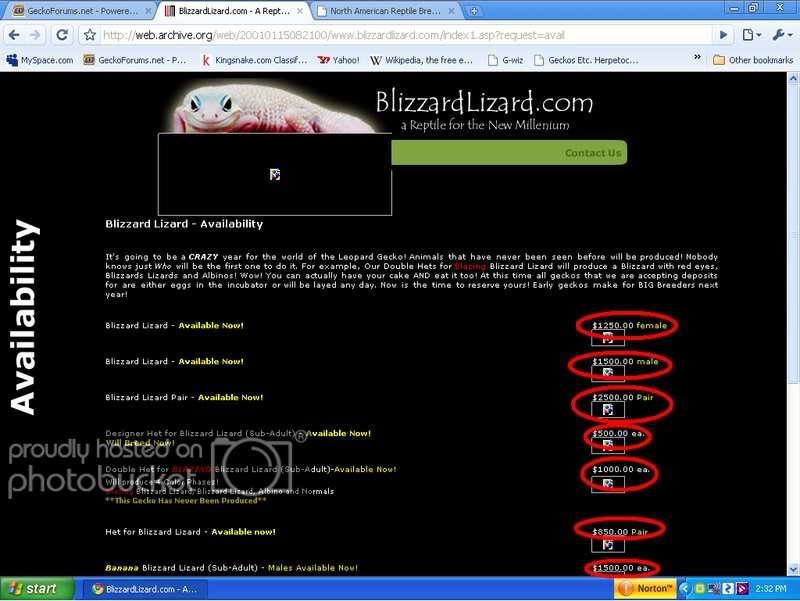 blizzardlizard.jpg
