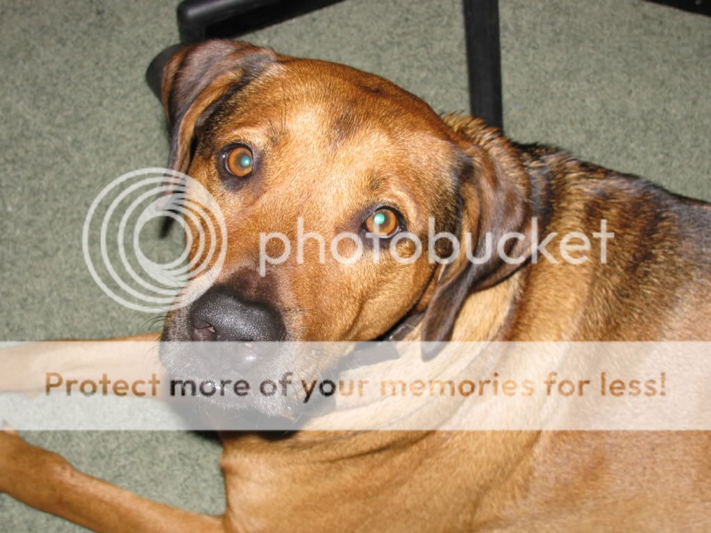 IMG_2164.jpg