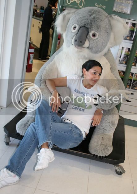 koalahug.jpg