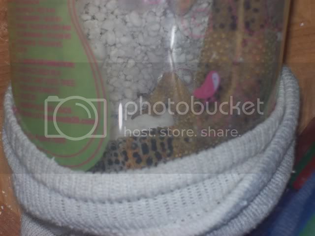 Picture025.jpg