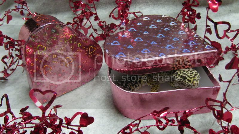 rawson5084Feb.jpg
