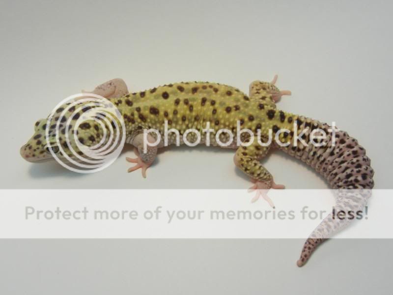 RSCN2811.jpg