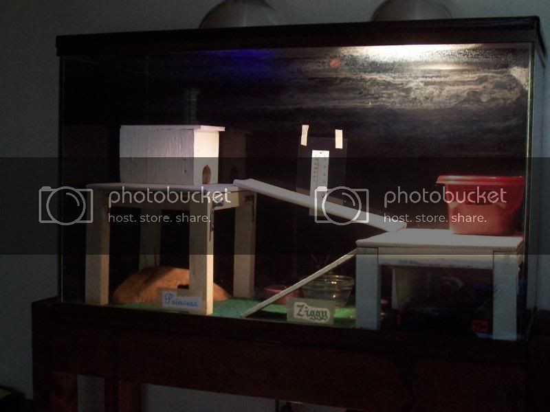 100_1752.jpg