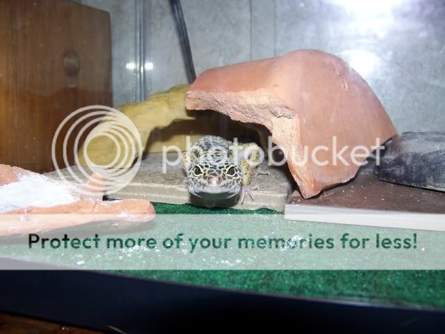 100_2535.jpg
