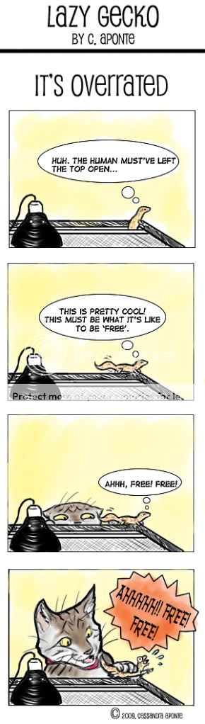 lazygecko6.jpg