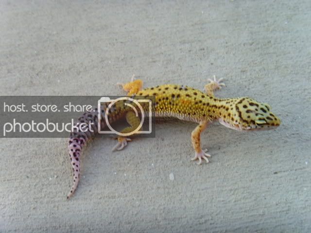 SNV39544.jpg