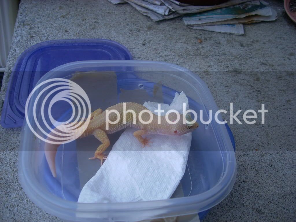 DSCN0319.jpg