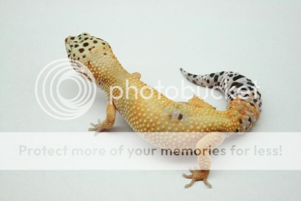 photoshoot6-1-09010.jpg