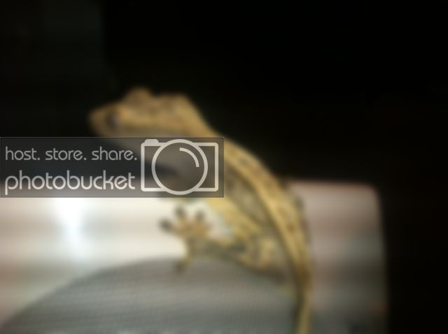 image.jpeg