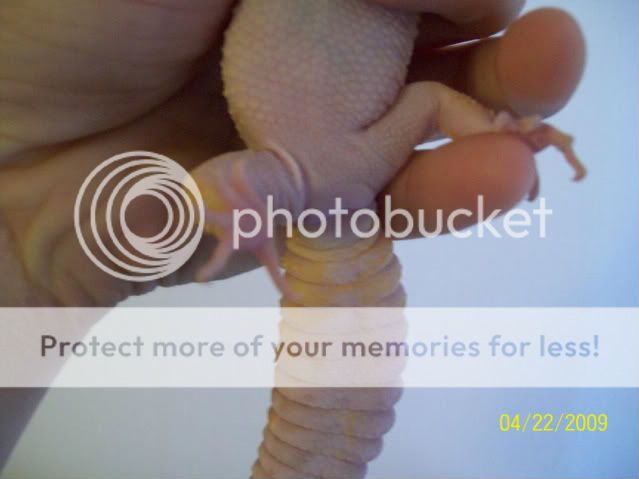 100_1707.jpg