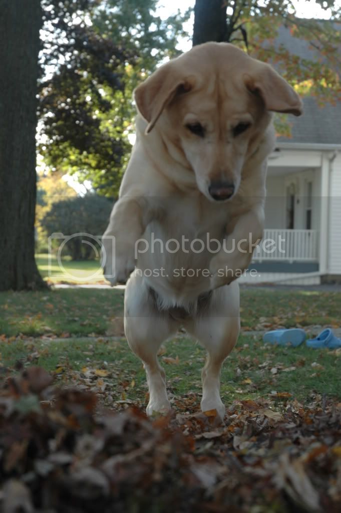 DSC_0260.jpg