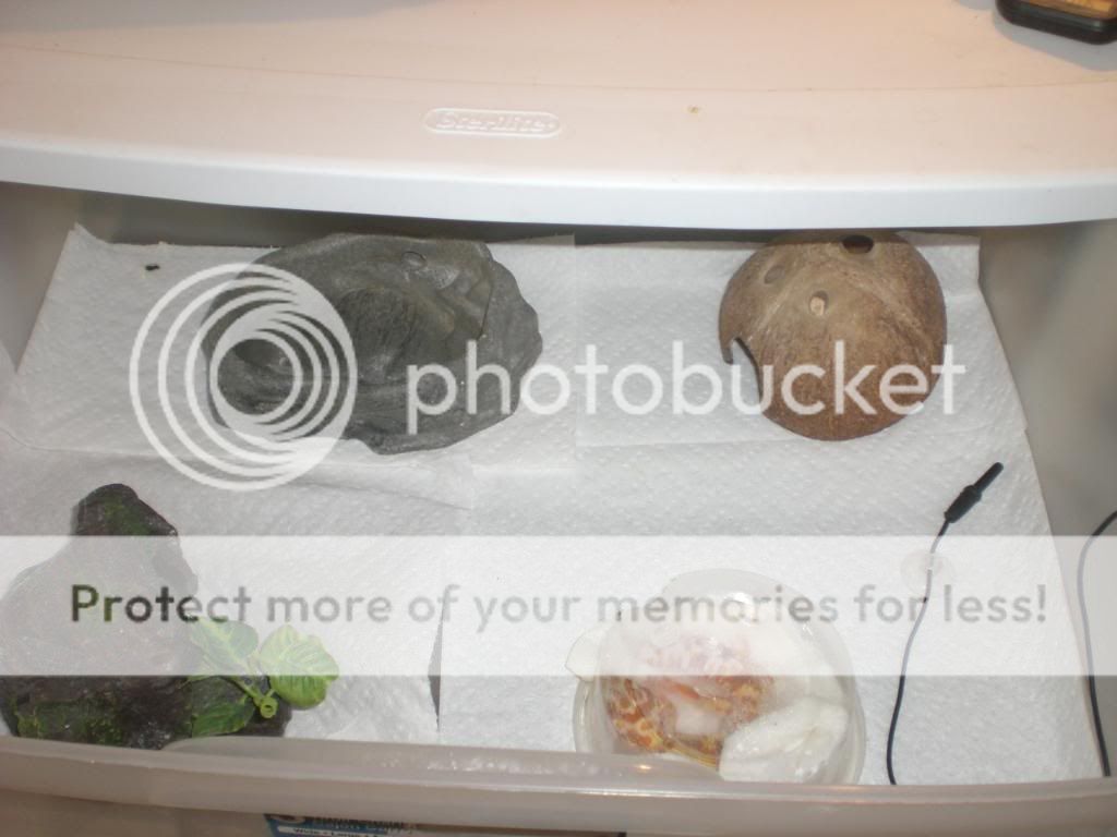 junepix036.jpg