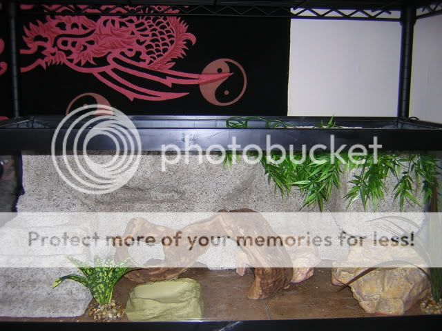 DSCN1532.jpg