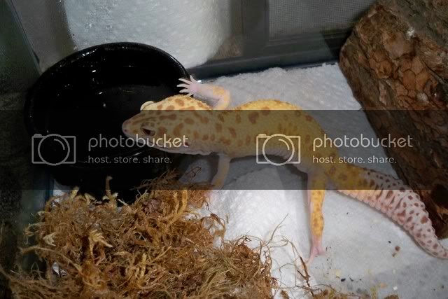 100_1495.jpg